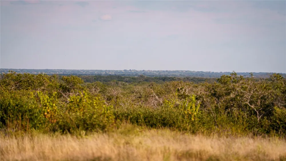 8500 Buck Ridge Drive Brady, TX 76858