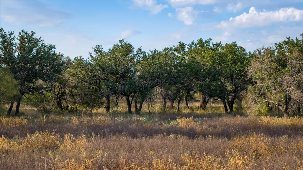8500 Buck Ridge Drive Brady, TX 76858