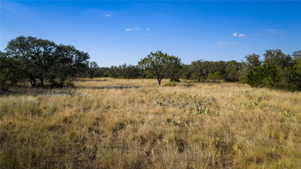8500 Buck Ridge Drive Brady, TX 76858