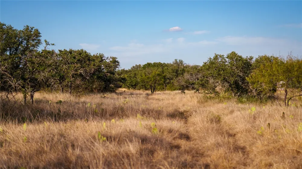 8500 Buck Ridge Drive Brady, TX 76858