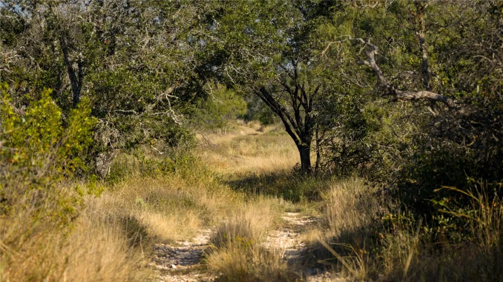 8500 Buck Ridge Drive Brady, TX 76858