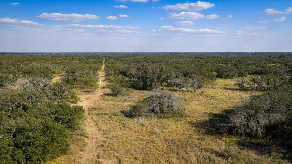 8500 Buck Ridge Drive Brady, TX 76858