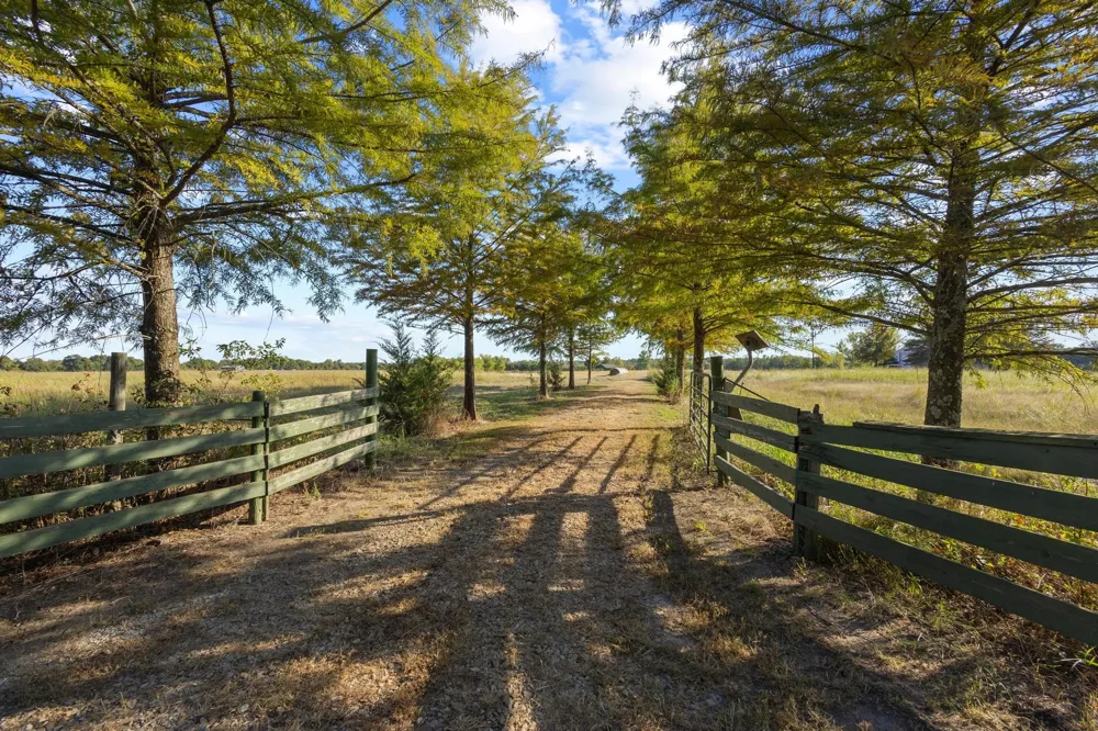 300 County Road 27100 Honey Grove, TX 75446