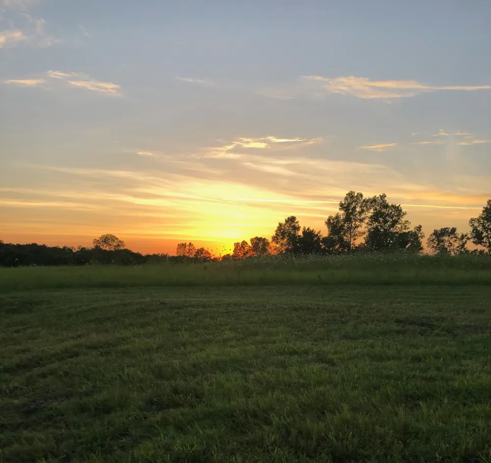 300 County Road 27100 Honey Grove, TX 75446