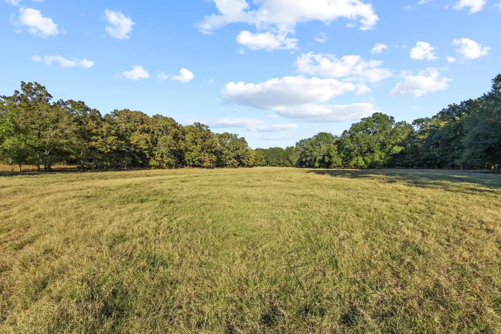 312 County Road 2100 Detroit, TX 75436