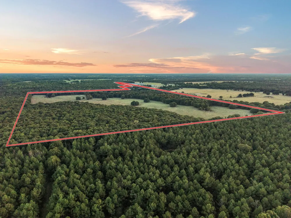 312 County Road 2100 Detroit, TX 75436