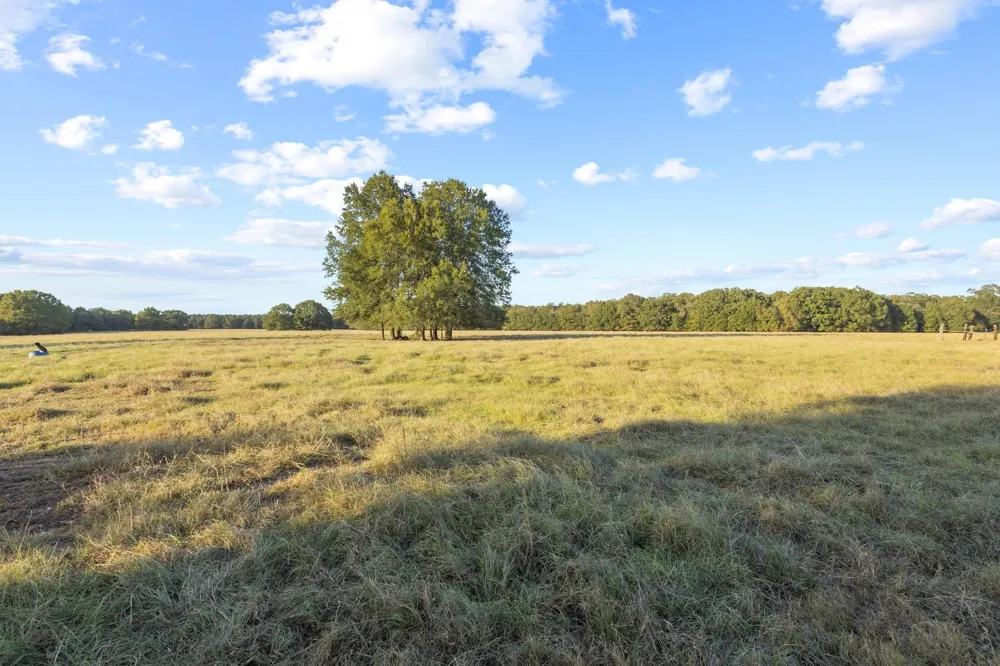 312 County Road 2100 Detroit, TX 75436