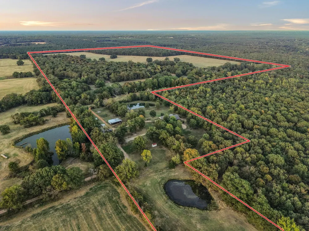 312 County Road 2100 Detroit, TX 75436