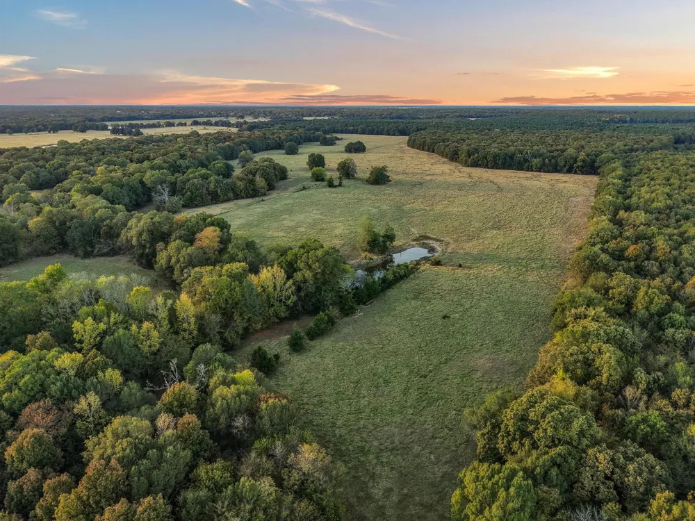 312 County Road 2100 Detroit, TX 75436