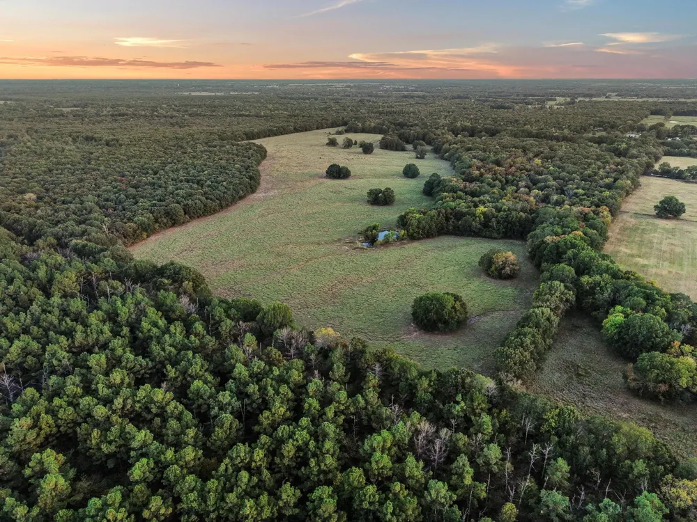 312 County Road 2100 Detroit, TX 75436