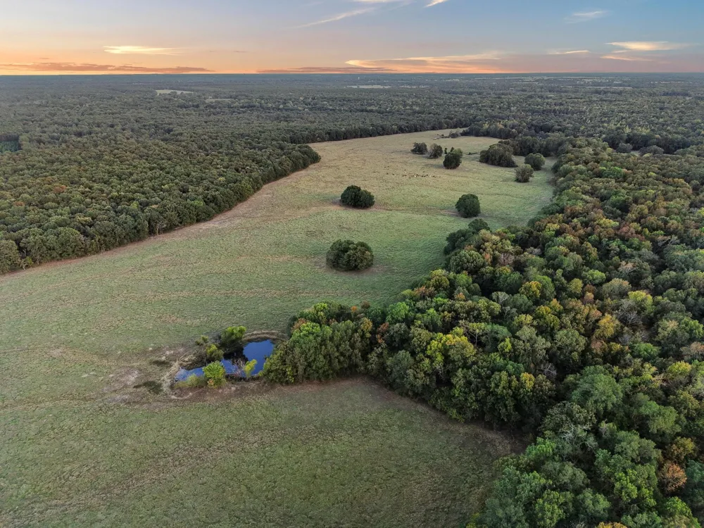 312 County Road 2100 Detroit, TX 75436