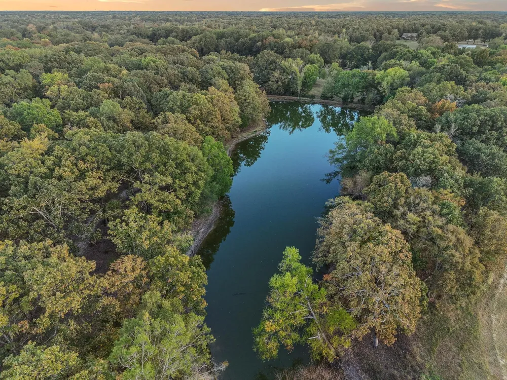 312 County Road 2100 Detroit, TX 75436