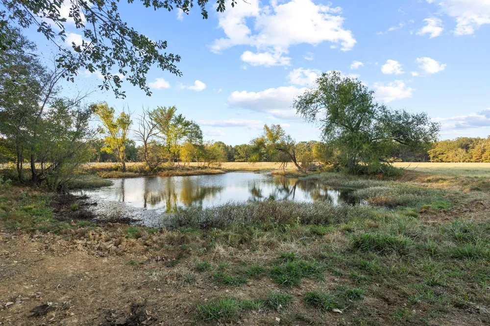 312 County Road 2100 Detroit, TX 75436