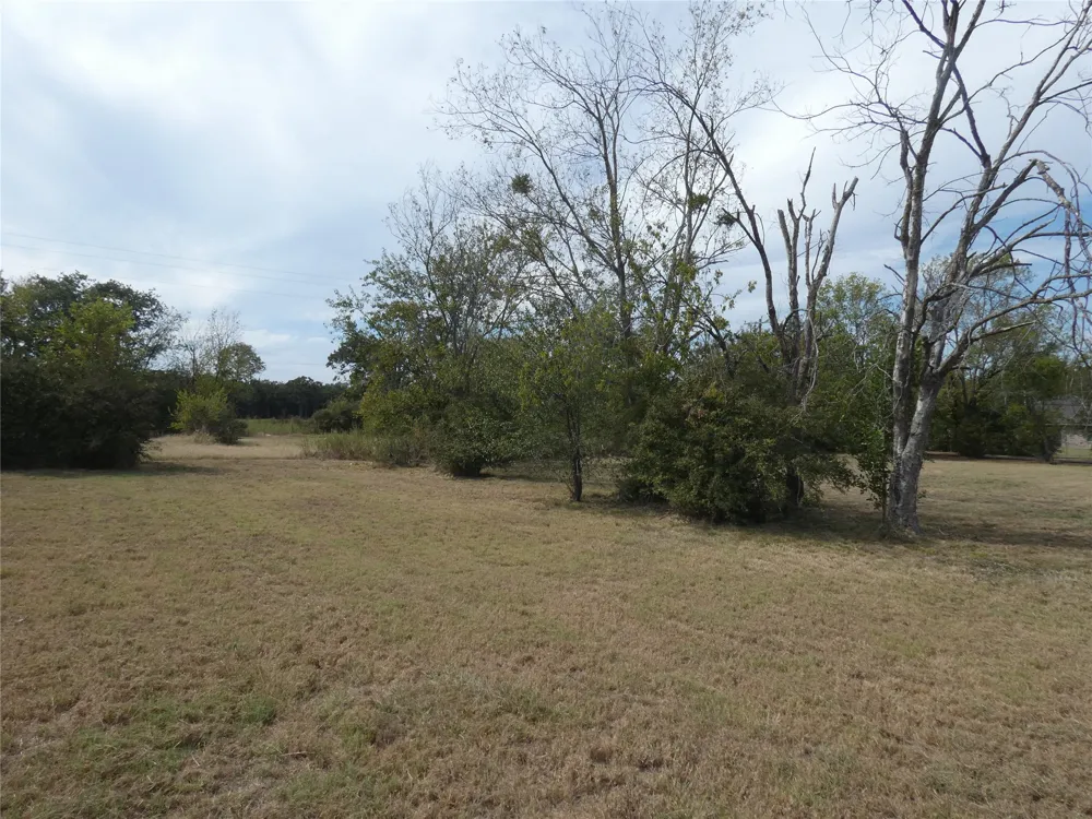 Hawkins Terrell, TX 75160