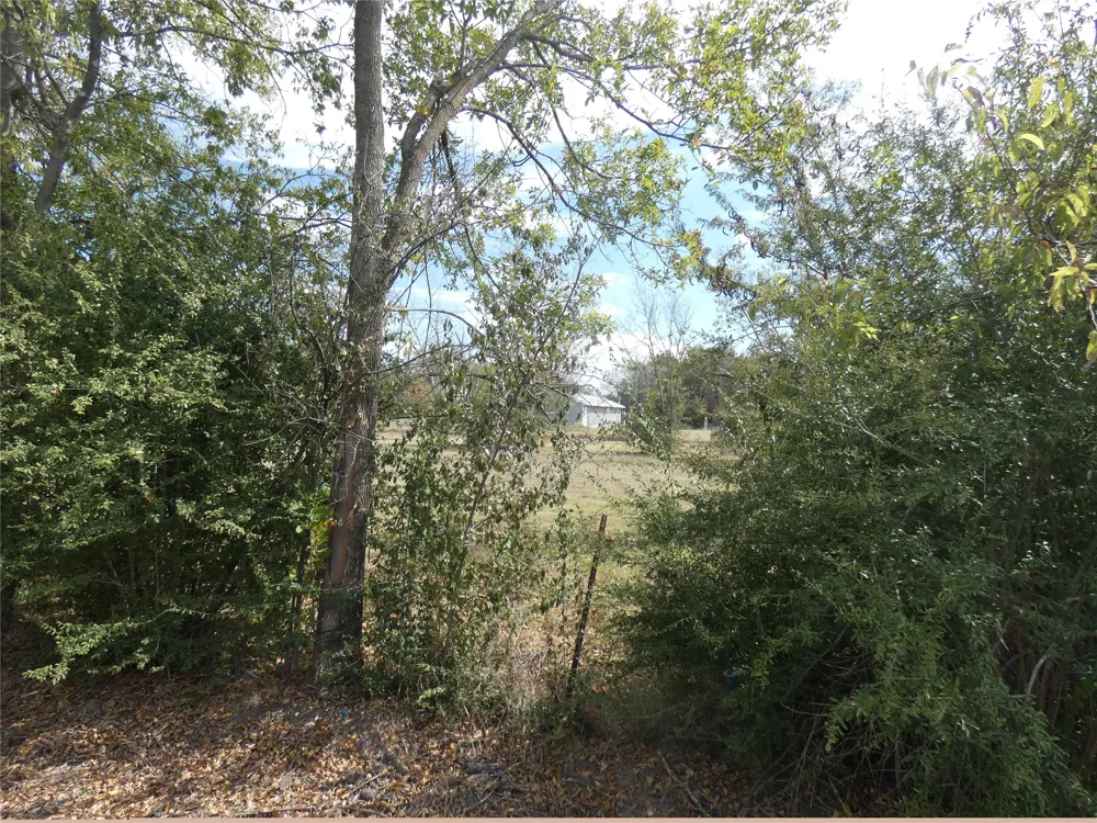 Hawkins Terrell, TX 75160