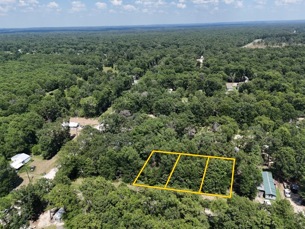 Knottypine Livingston, TX 77351