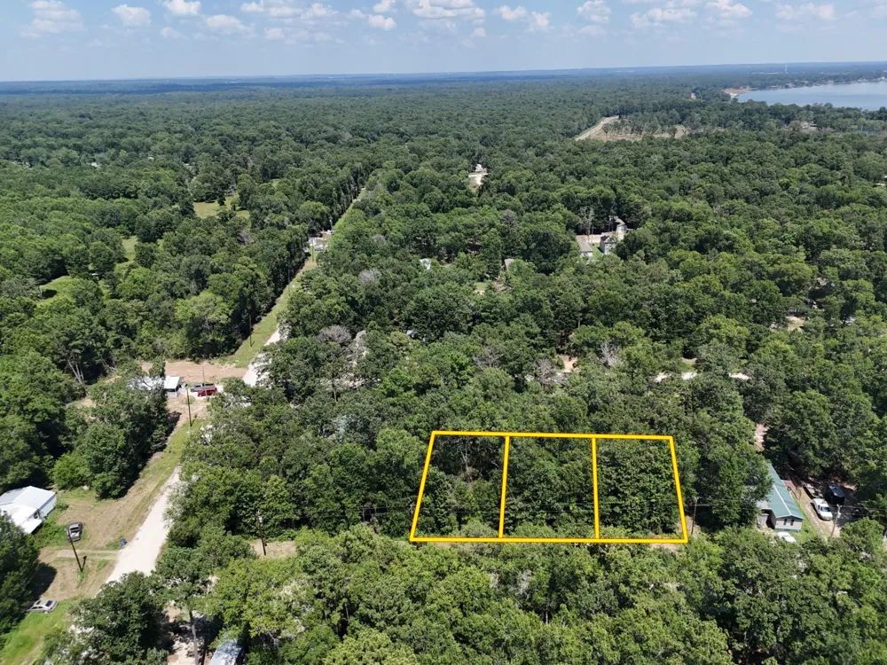 Knottypine Livingston, TX 77351