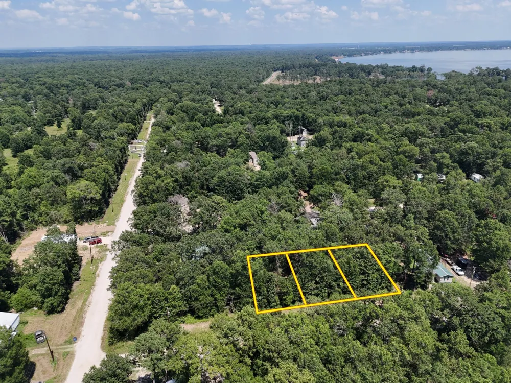 Knottypine Livingston, TX 77351