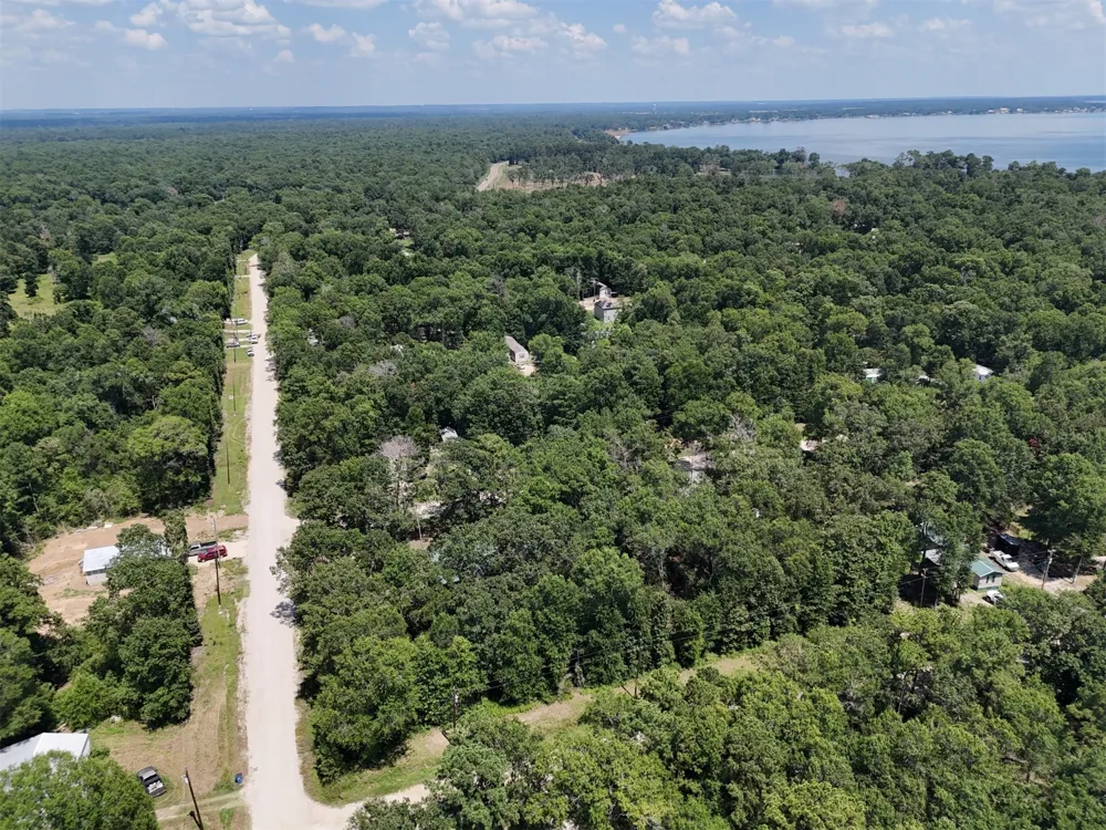 Knottypine Livingston, TX 77351