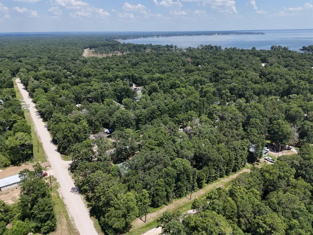 Knottypine Livingston, TX 77351