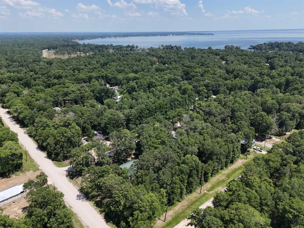 Knottypine Livingston, TX 77351