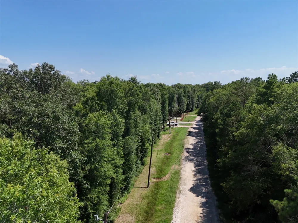 Knottypine Livingston, TX 77351