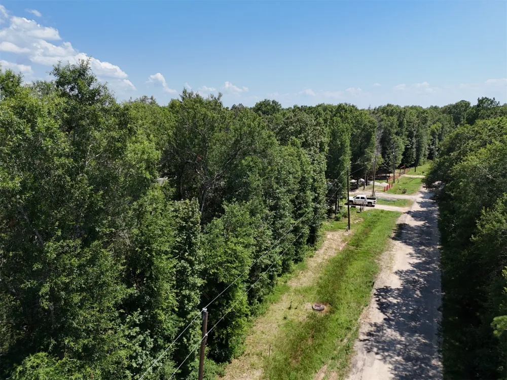 Knottypine Livingston, TX 77351