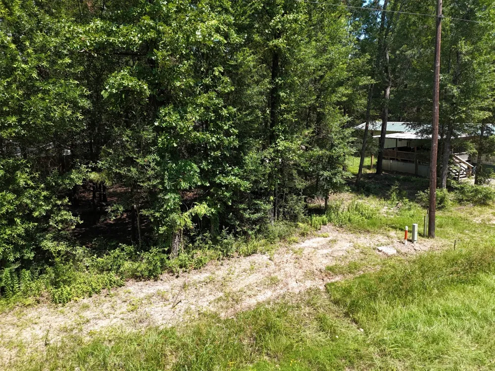 Knottypine Livingston, TX 77351