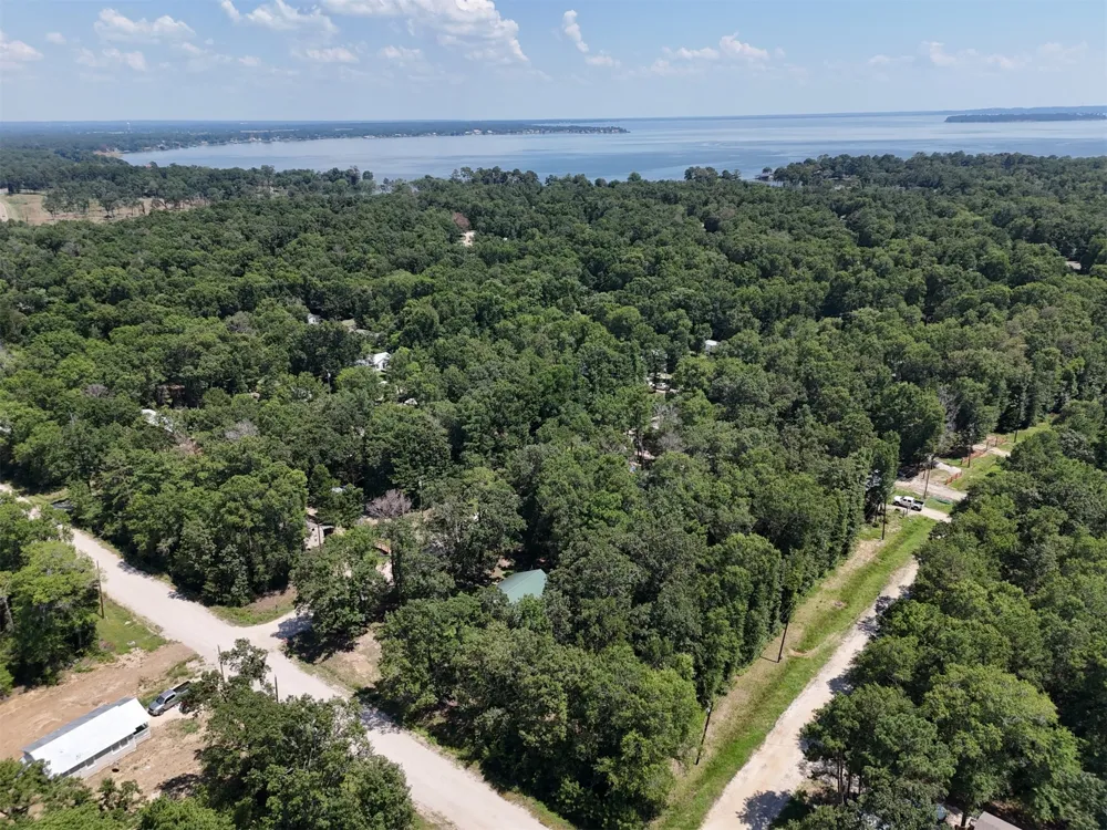 Knottypine Livingston, TX 77351
