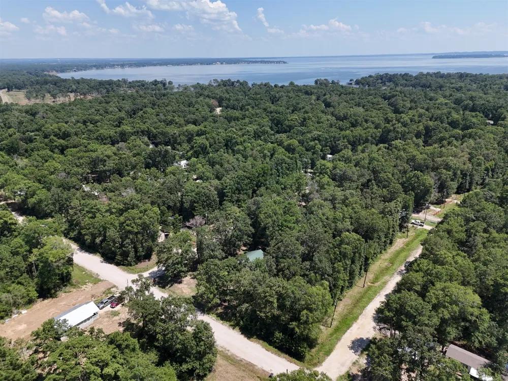Knottypine Livingston, TX 77351