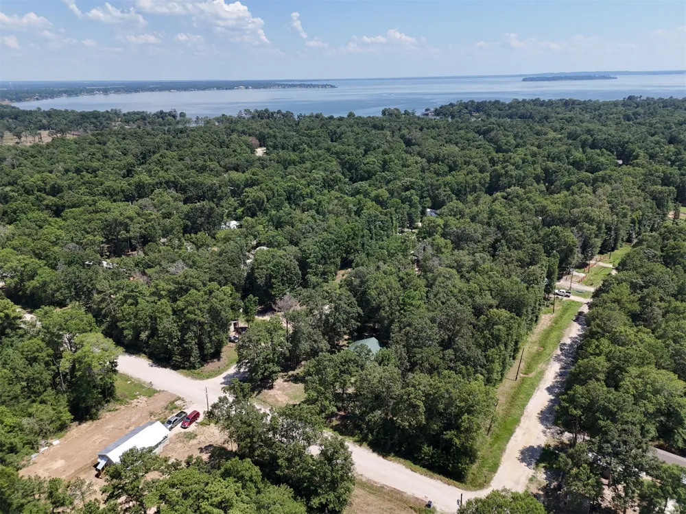 Knottypine Livingston, TX 77351