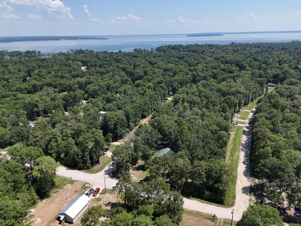 Knottypine Livingston, TX 77351