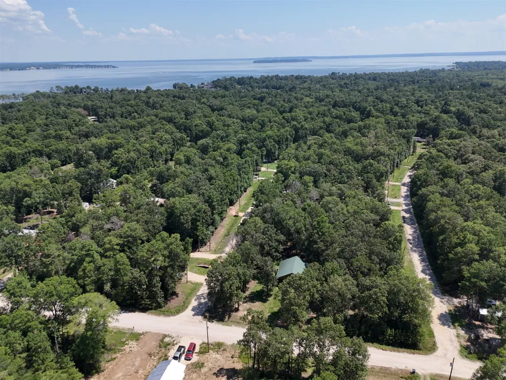 Knottypine Livingston, TX 77351