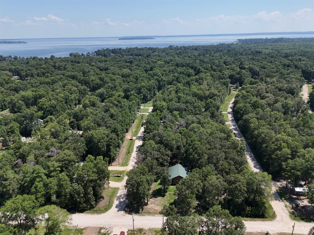 Knottypine Livingston, TX 77351
