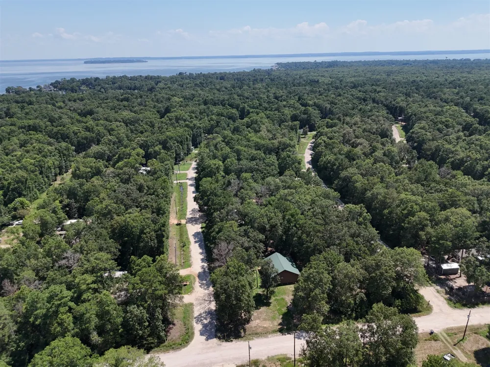 Knottypine Livingston, TX 77351