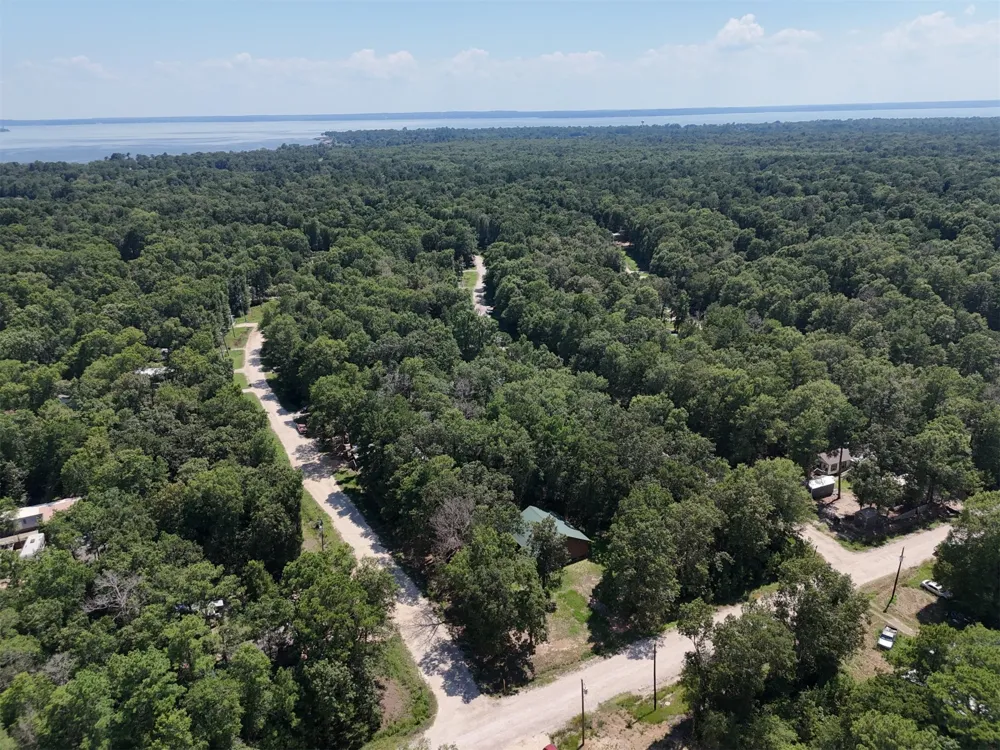 Knottypine Livingston, TX 77351