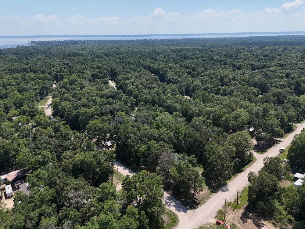 Knottypine Livingston, TX 77351