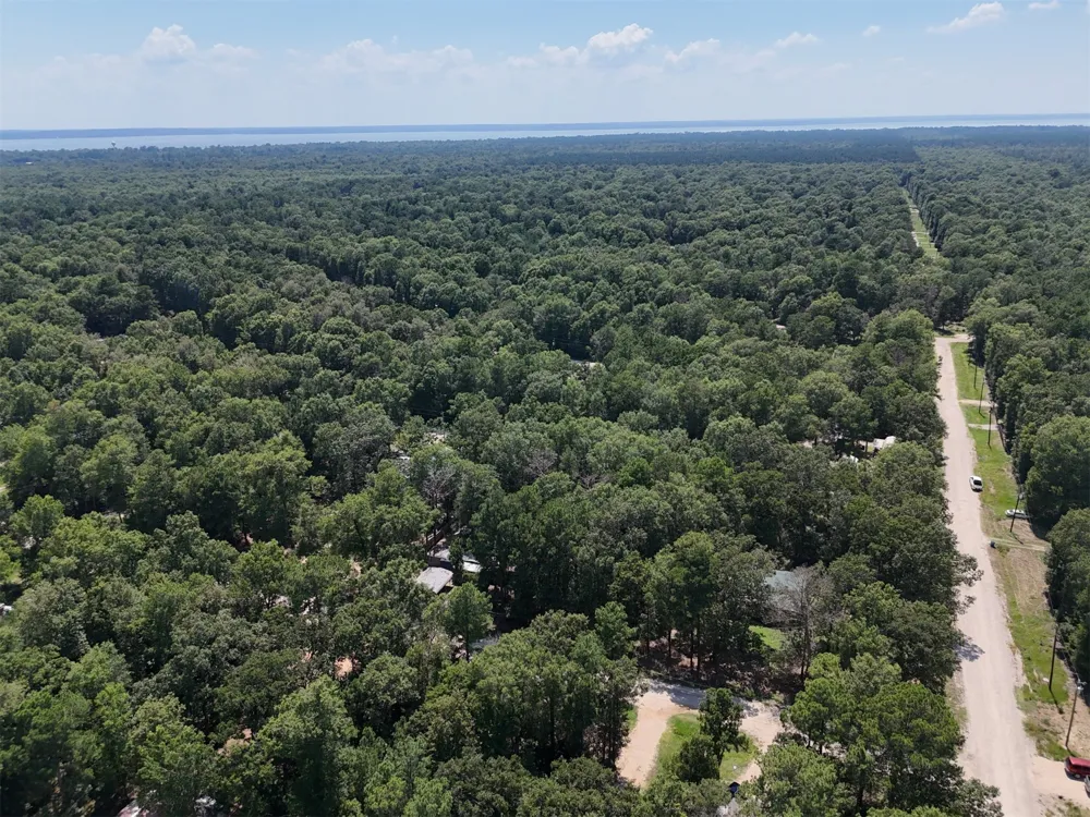 Knottypine Livingston, TX 77351