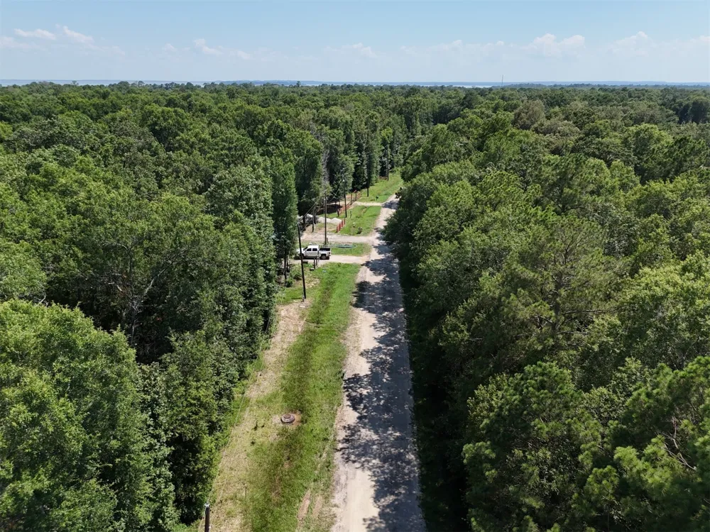 Knottypine Livingston, TX 77351