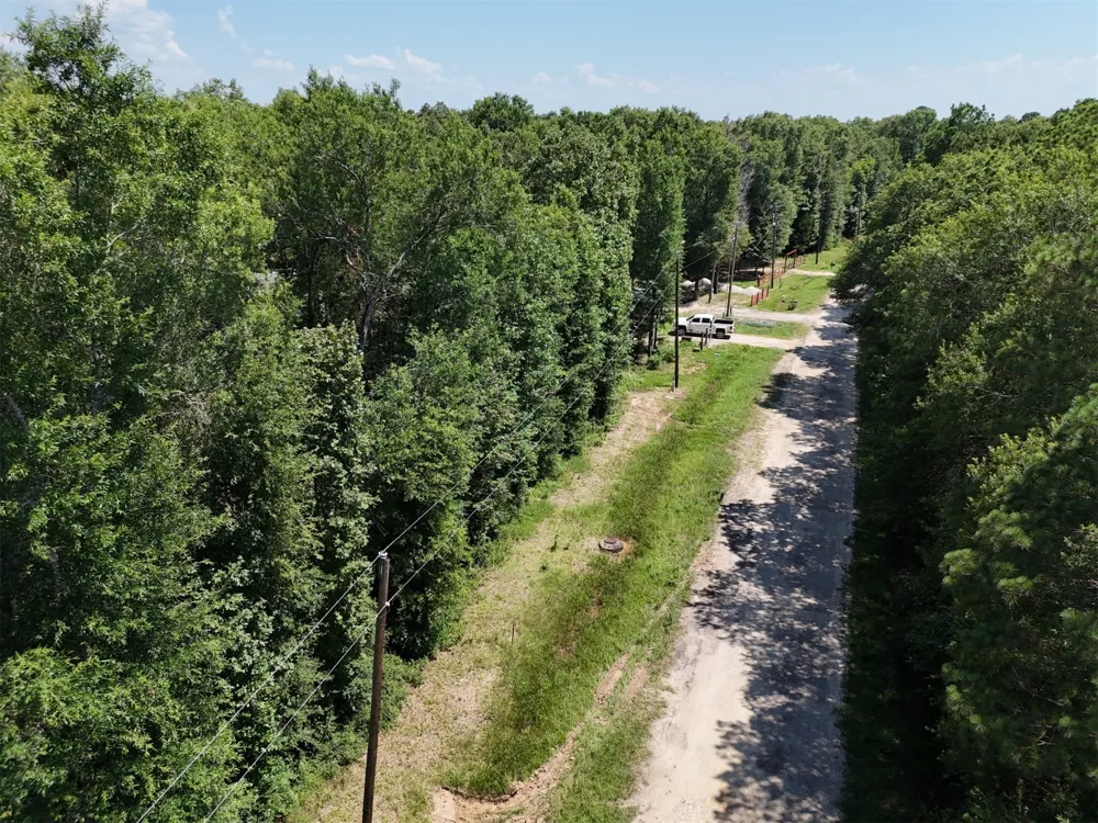 Knottypine Livingston, TX 77351