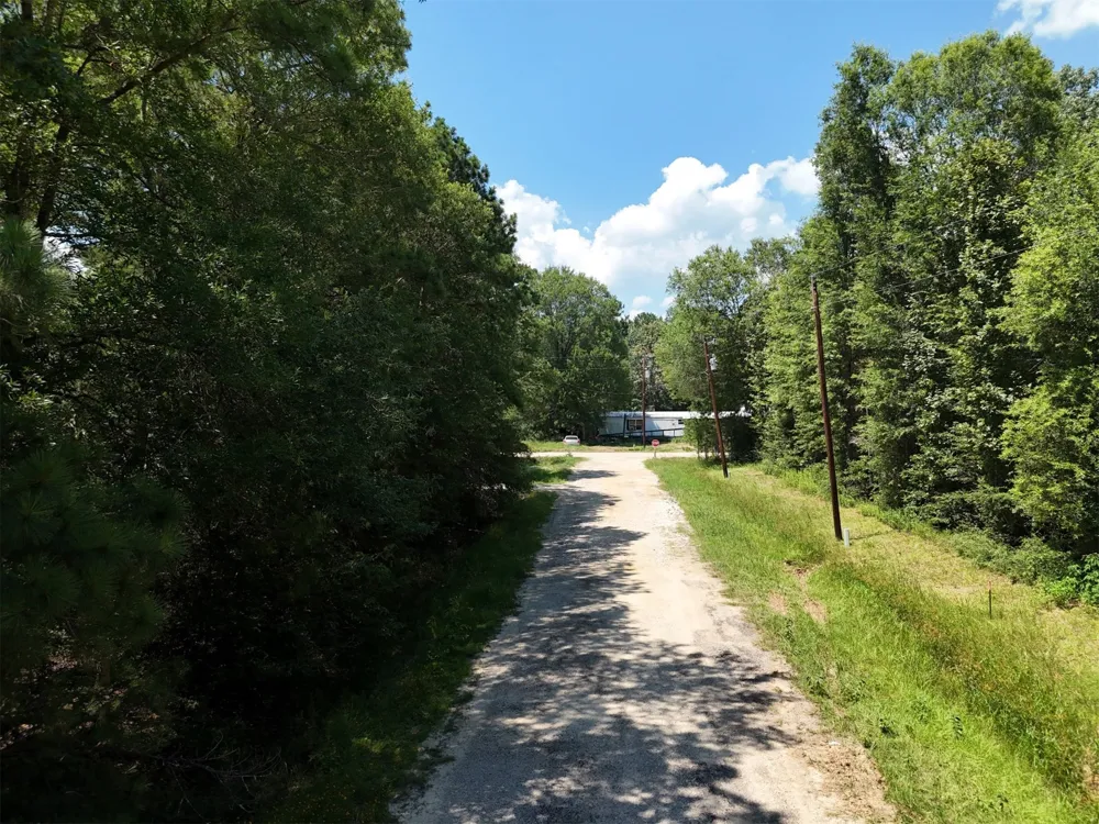Knottypine Livingston, TX 77351