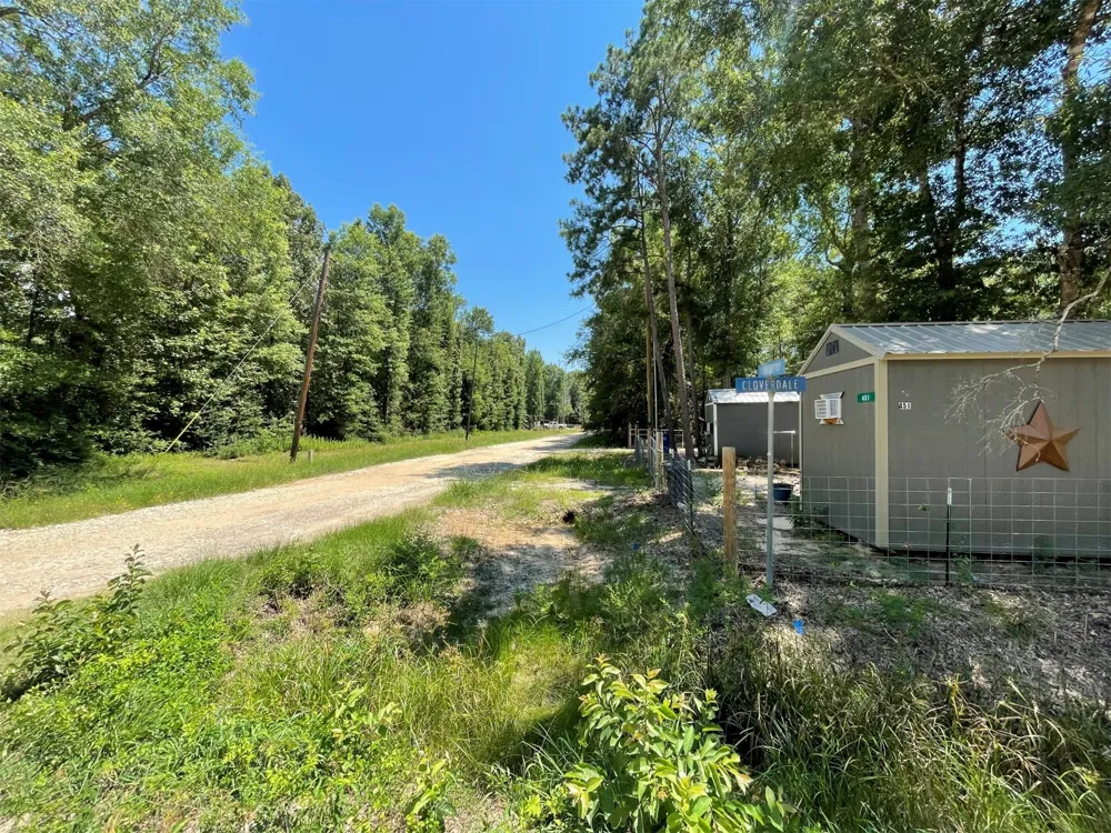 Knottypine Livingston, TX 77351