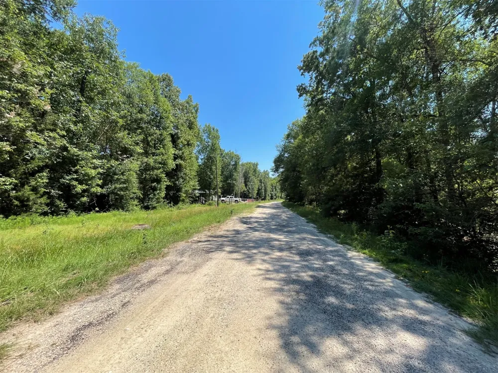 Knottypine Livingston, TX 77351