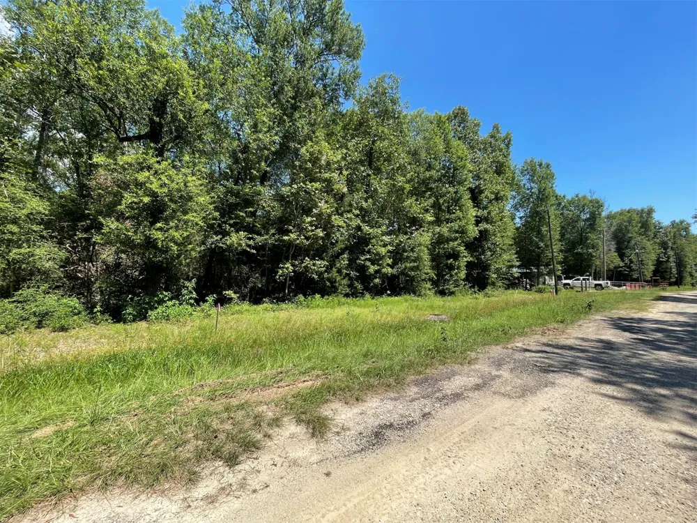 Knottypine Livingston, TX 77351