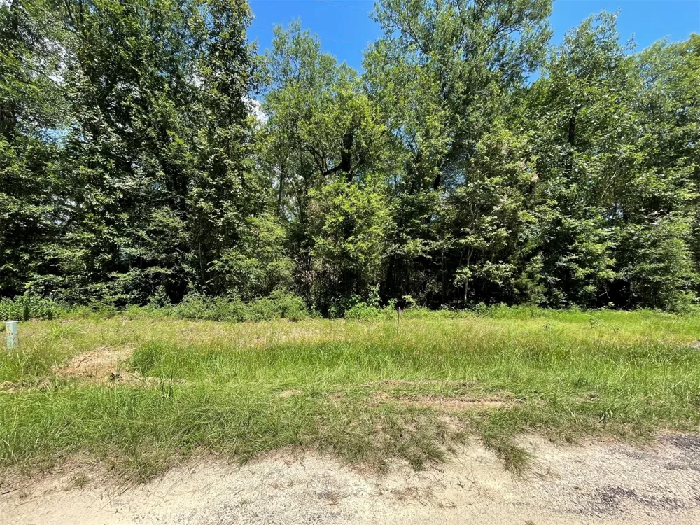 Knottypine Livingston, TX 77351