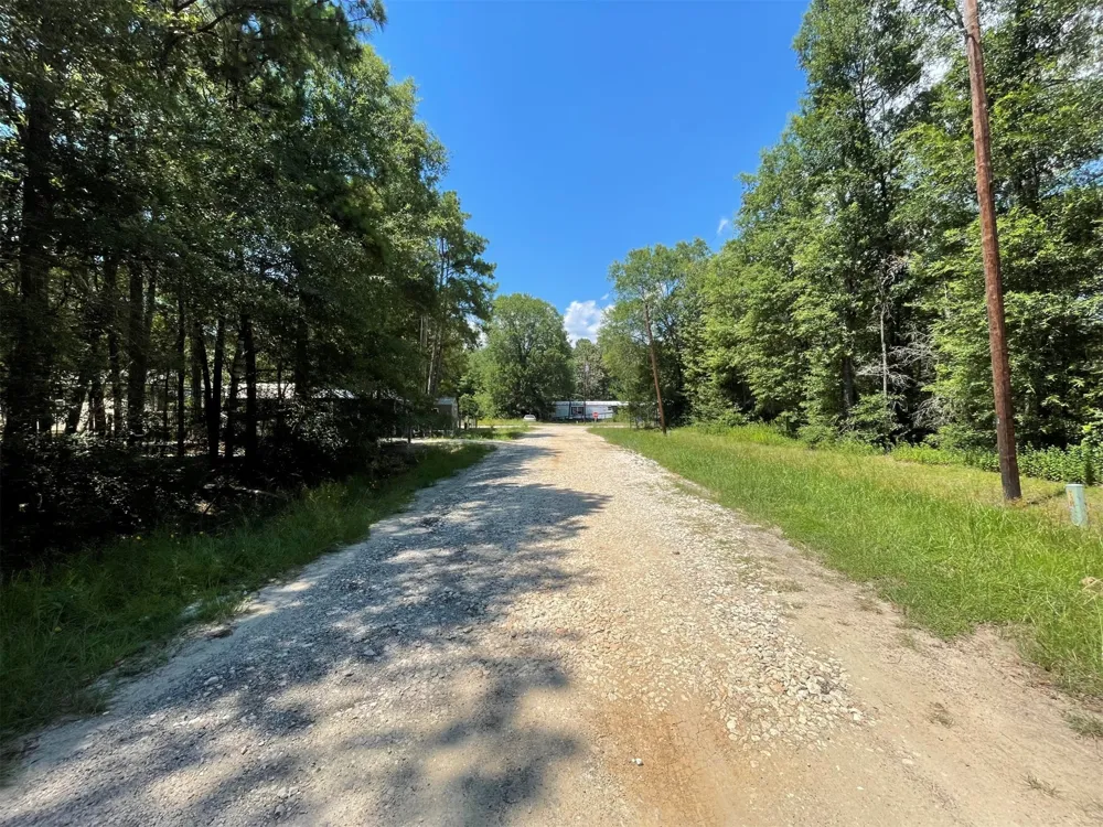 Knottypine Livingston, TX 77351