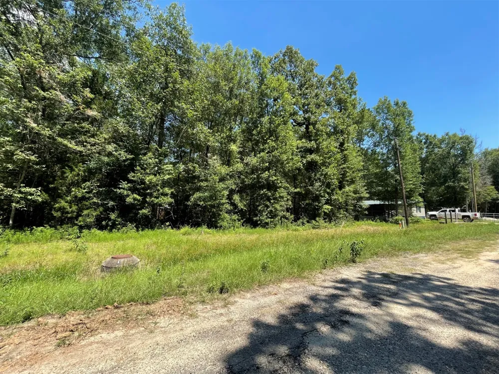 Knottypine Livingston, TX 77351