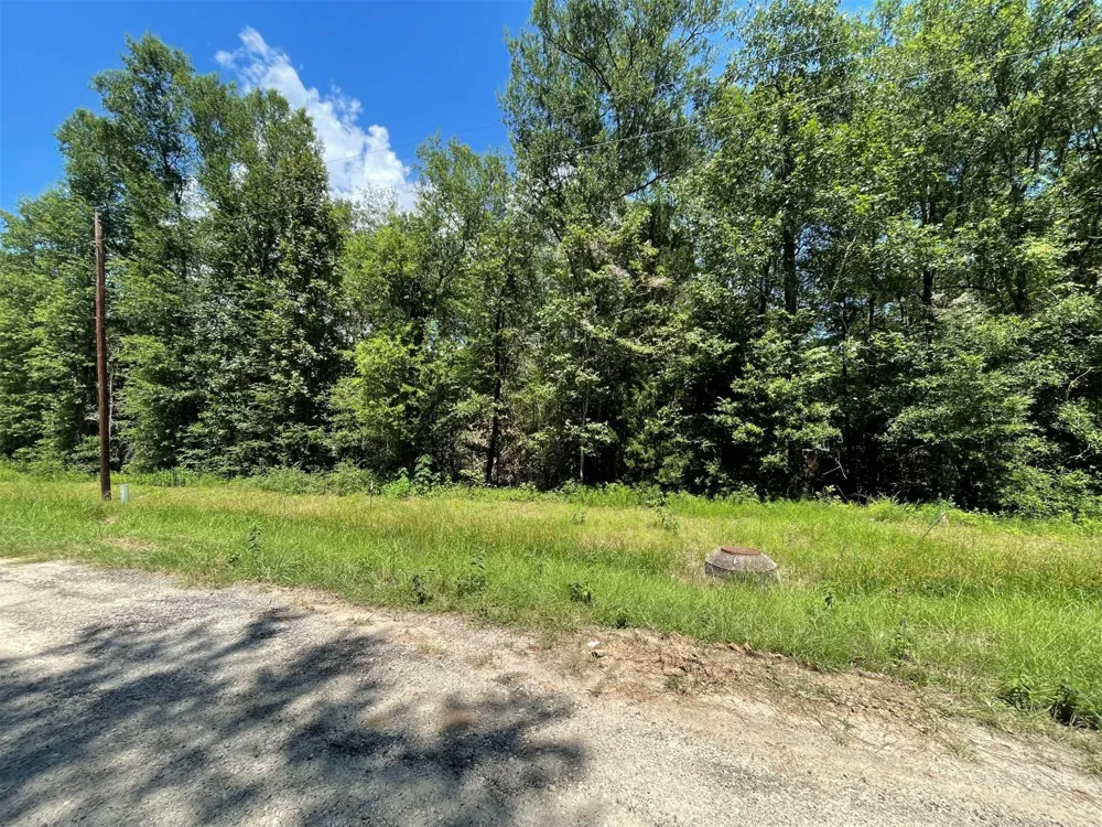 Knottypine Livingston, TX 77351