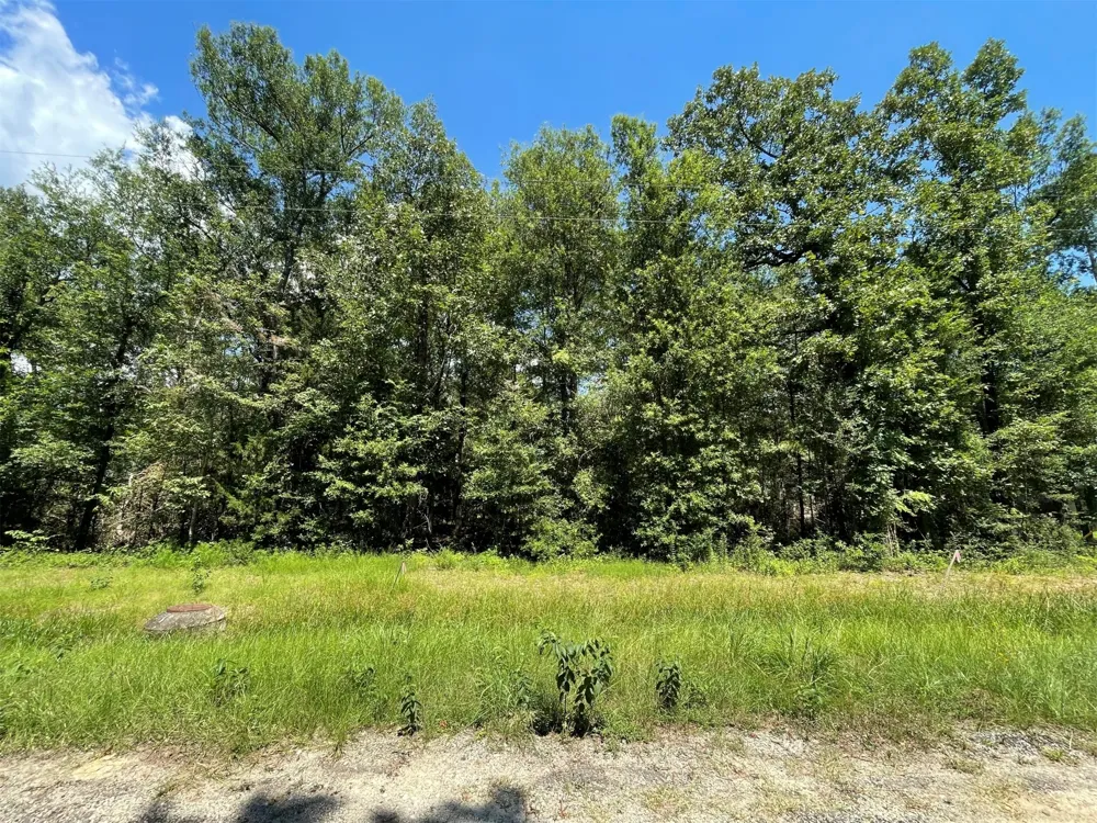 Knottypine Livingston, TX 77351