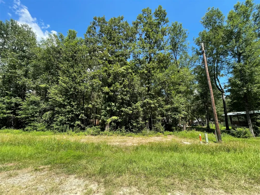 Knottypine Livingston, TX 77351